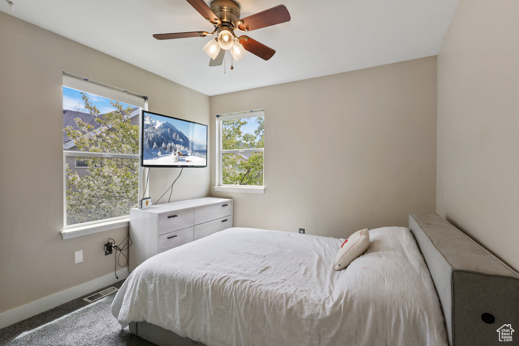 Bedroom with carpet floors, baseboards, visible vents, and multiple windows