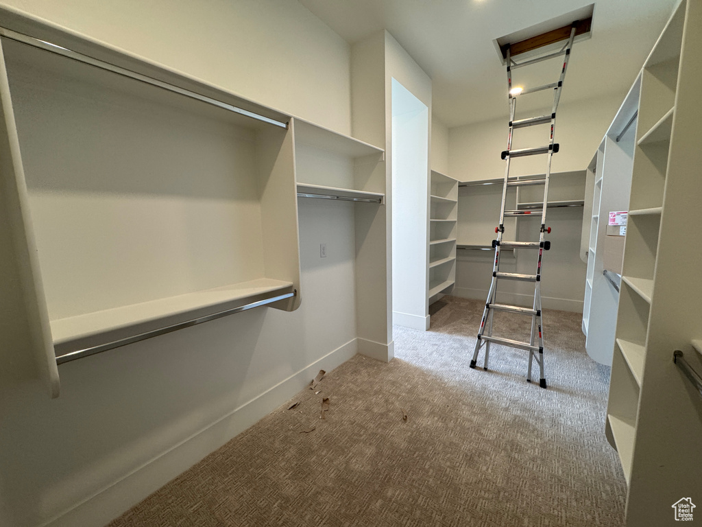 Spacious closet featuring carpet flooring