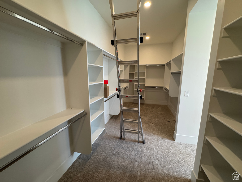 Walk in closet with dark colored carpet