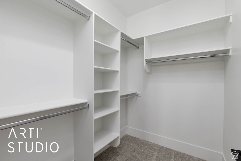 Spacious closet featuring carpet