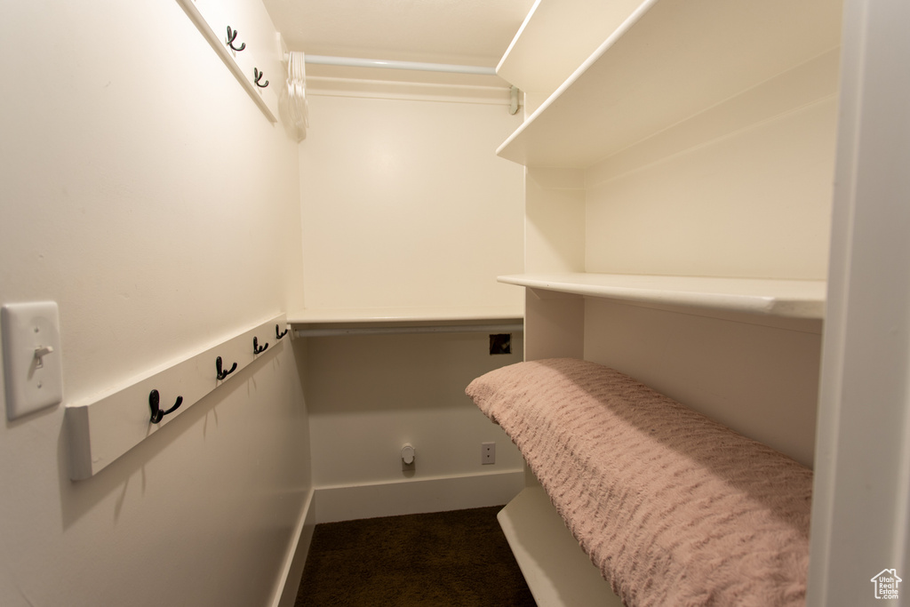 Interior space with dark colored carpet