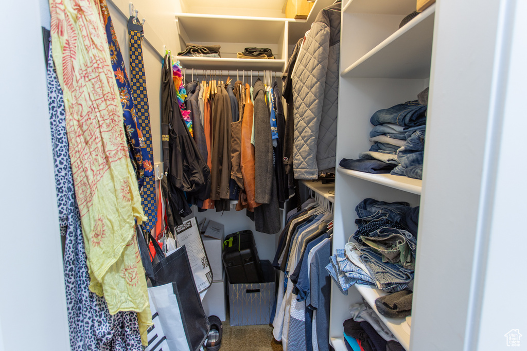 View of walk in closet