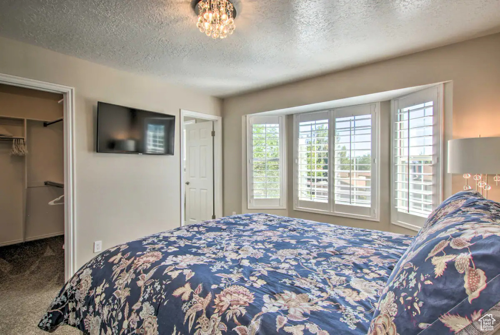 Carpeted bedroom featuring a walk in closet, a closet, and a textured ceiling