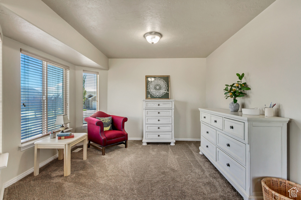 Living area featuring baseboards, plenty of natural light, and carpet