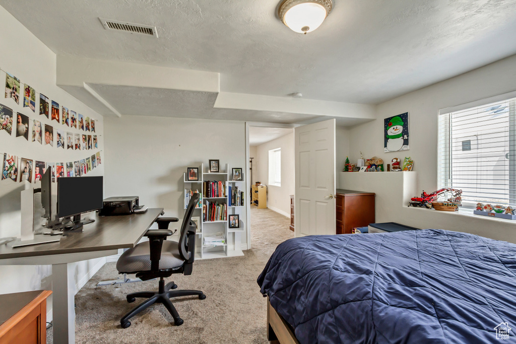 Bedroom with carpet floors, a textured ceiling, visible vents, and multiple windows