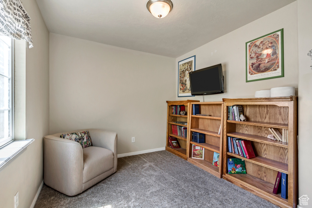 Sitting room featuring baseboards and carpet