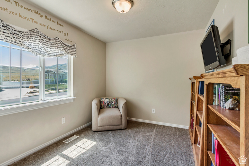 Sitting room with baseboards, carpet, and visible vents