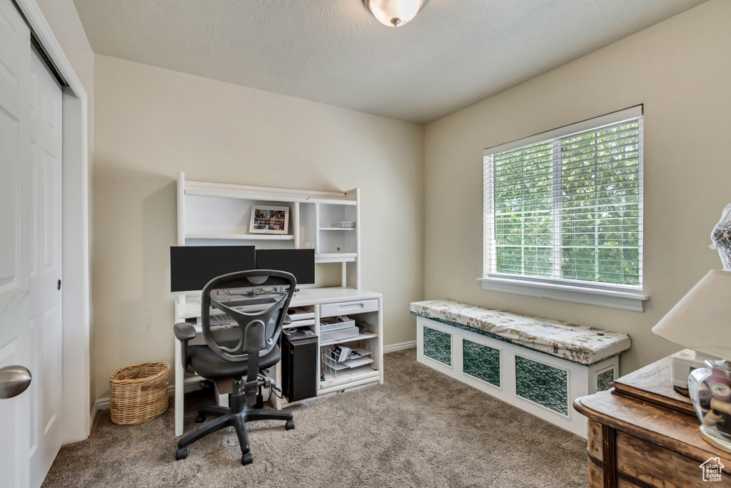 View of carpeted home office