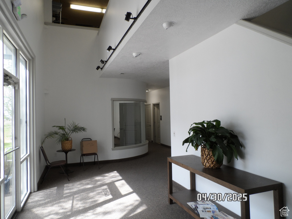 Hallway with carpet flooring