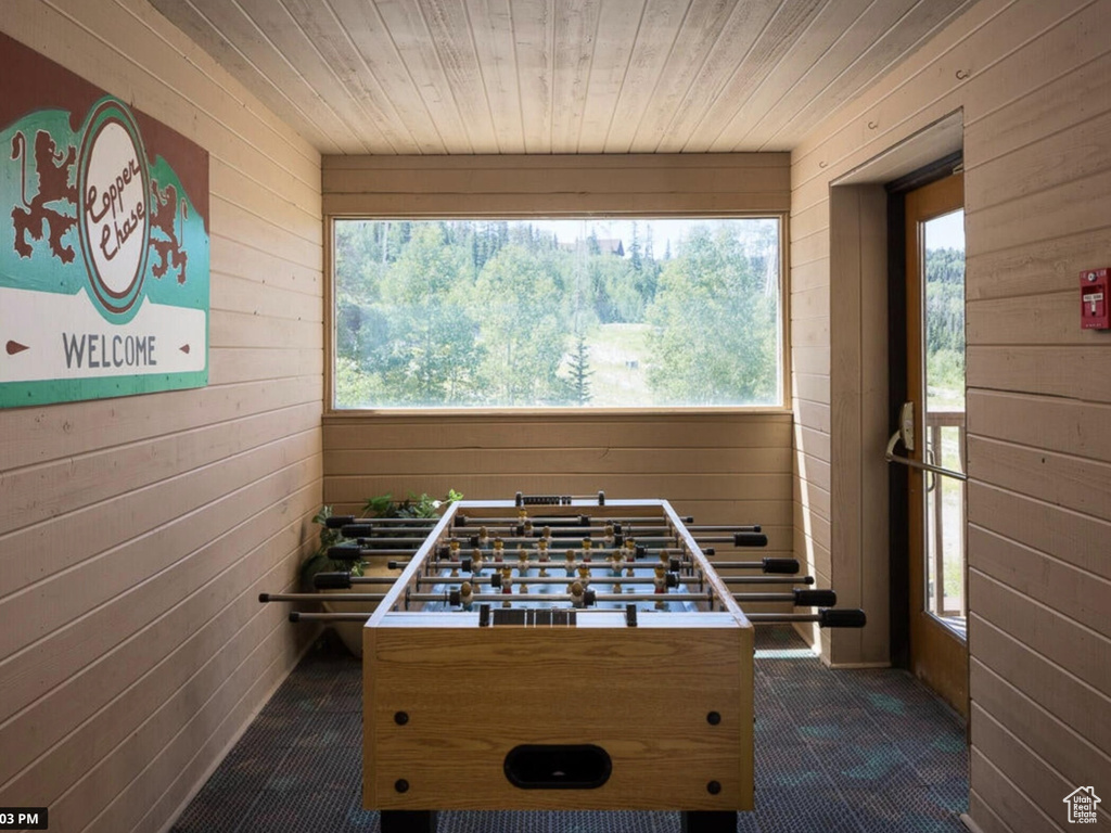Rec room with dark colored carpet, wood walls, and wooden ceiling