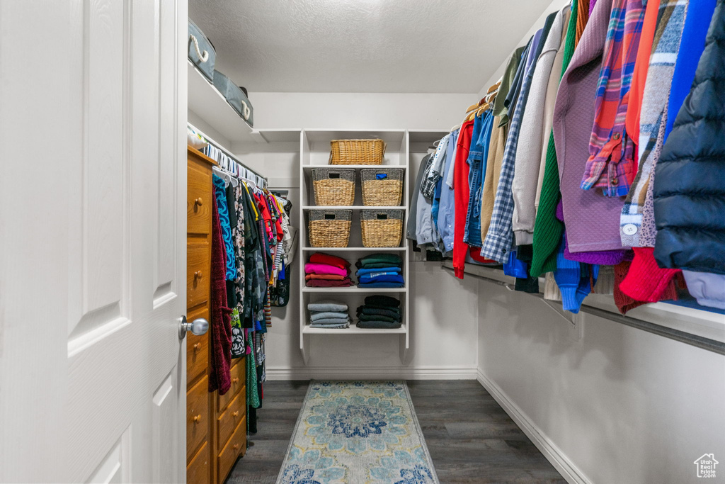 Spacious closet featuring wood finished floors