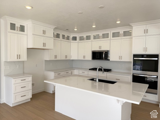 Kitchen featuring a center island with sink, light wood-type flooring, a sink, stainless steel appliances, and recessed lighting