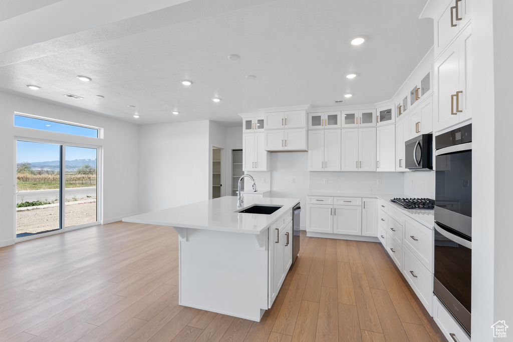 Kitchen featuring recessed lighting, light wood-style floors, appliances with stainless steel finishes, and a sink