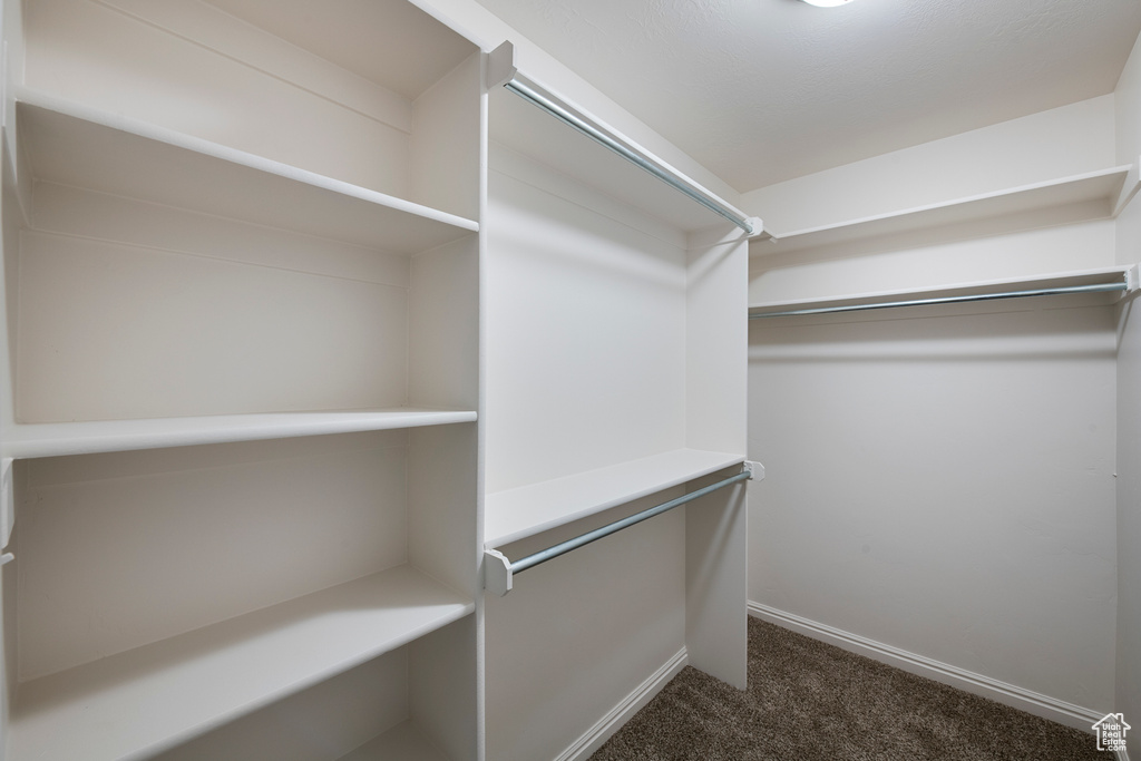 Walk in closet featuring dark colored carpet