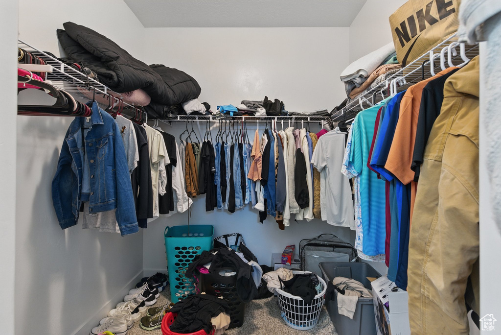 Spacious closet featuring carpet