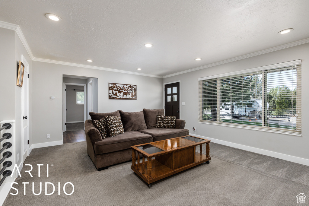 Carpeted living room featuring recessed lighting, baseboards, and ornamental molding