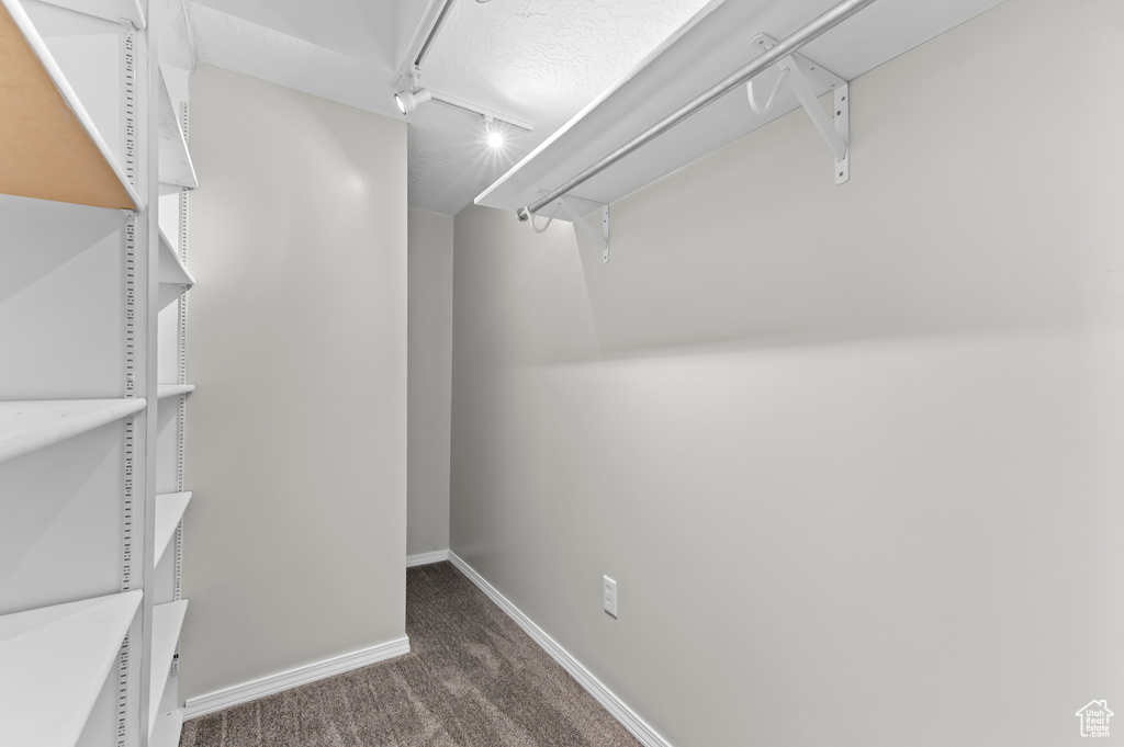 Spacious closet with carpet flooring