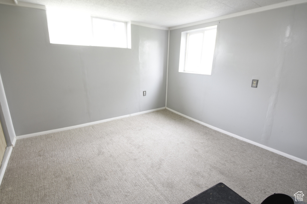 Below grade area with a healthy amount of sunlight and carpet