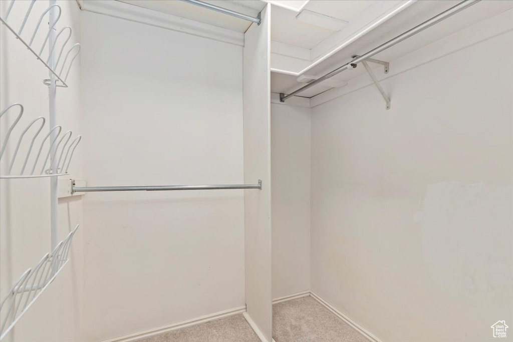 Walk in closet with carpet flooring