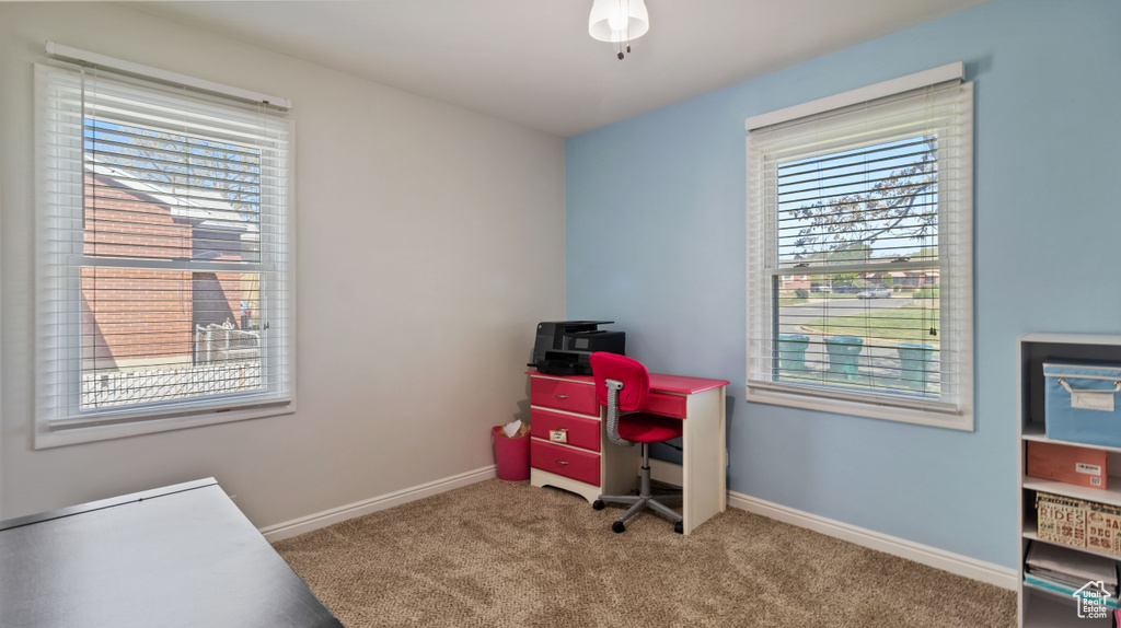 Carpeted office space featuring baseboards and a healthy amount of sunlight