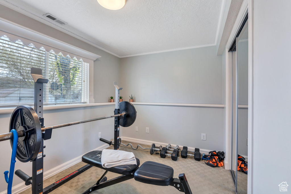 Workout area with a textured ceiling, visible vents, baseboards, ornamental molding, and carpet flooring