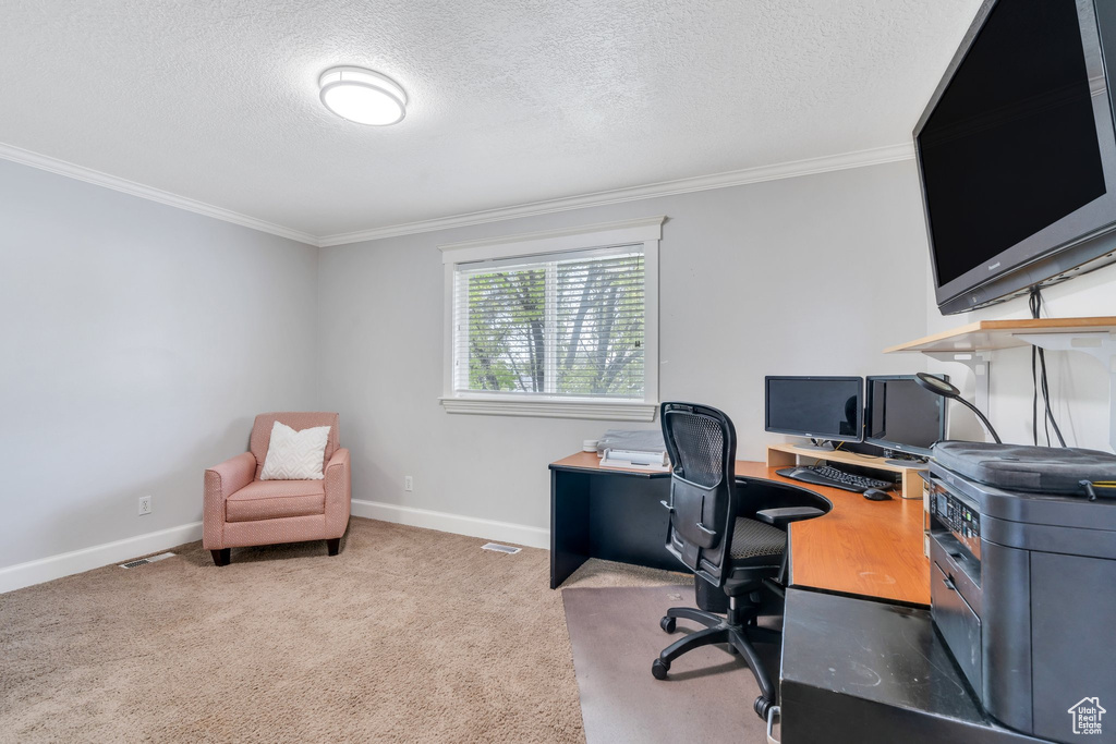 Carpeted office space with a textured ceiling, ornamental molding, and baseboards