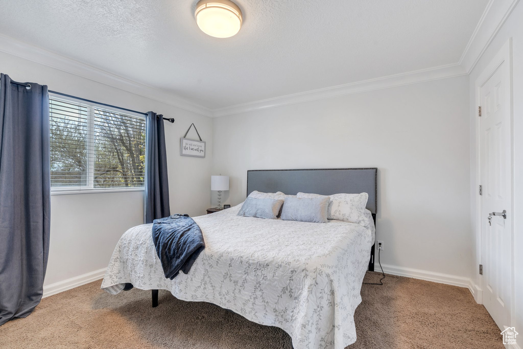 Bedroom with crown molding, baseboards, and carpet flooring
