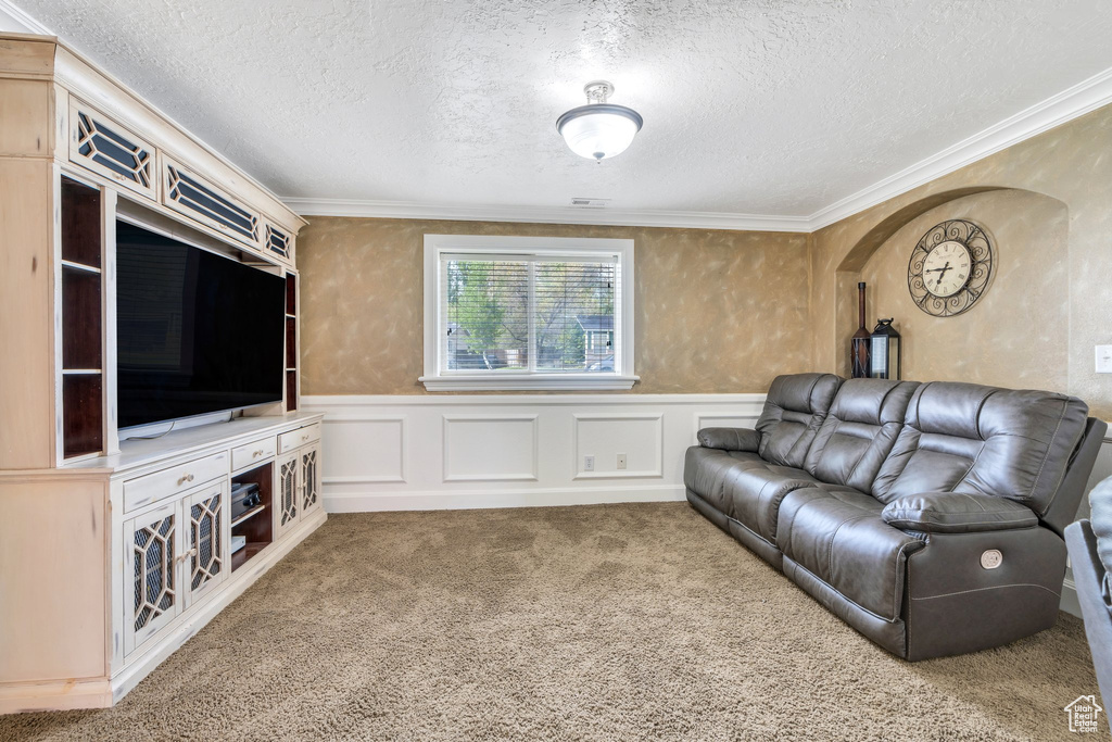 Carpeted living room featuring ornamental molding, a textured ceiling, and wainscoting