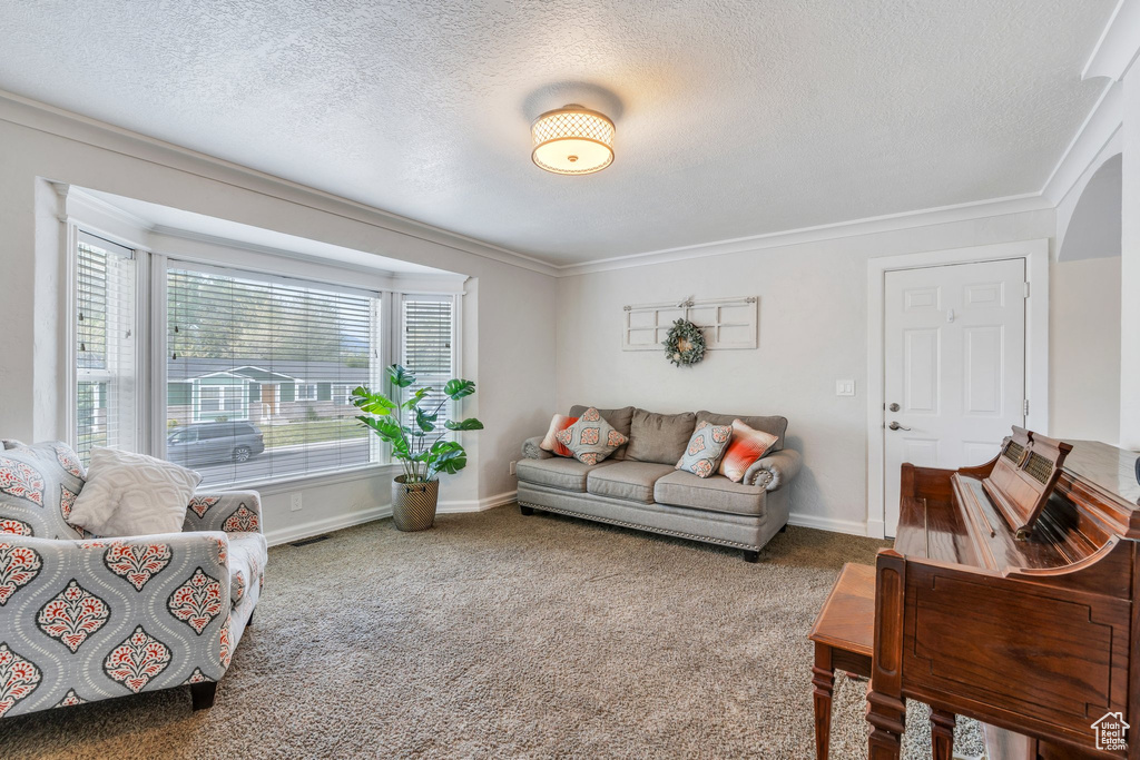 Living room with crown molding, a textured ceiling, baseboards, and carpet