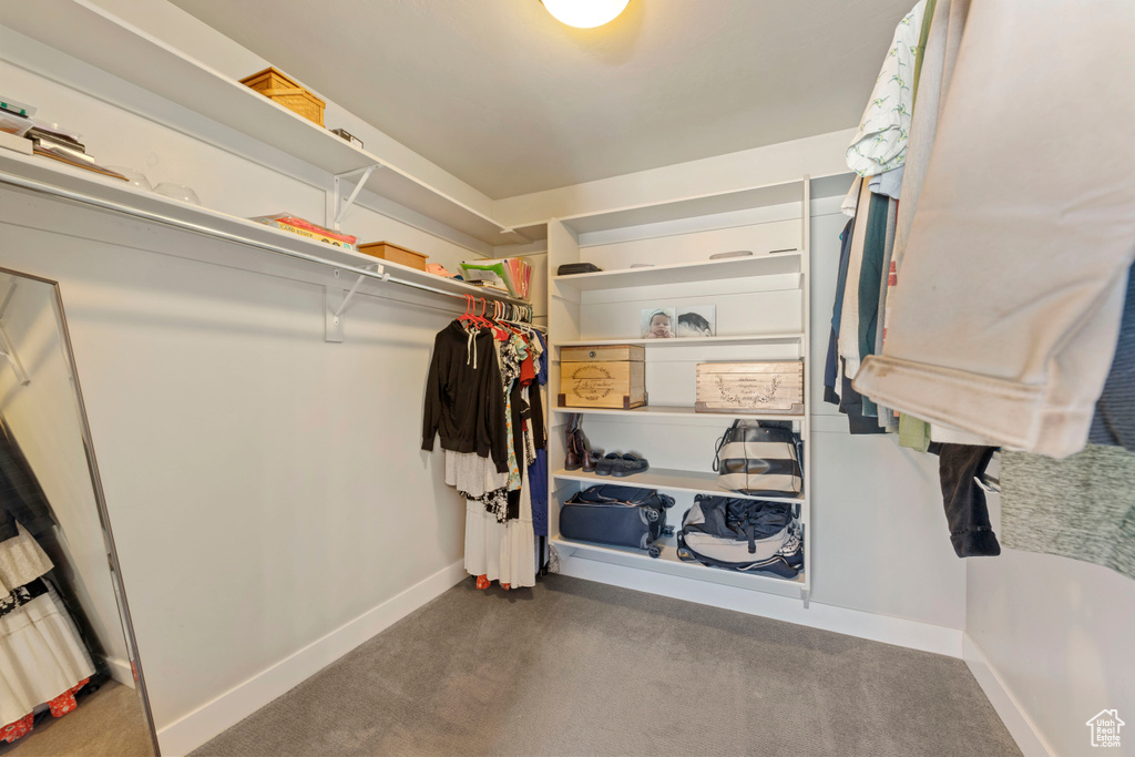 Spacious closet with carpet flooring