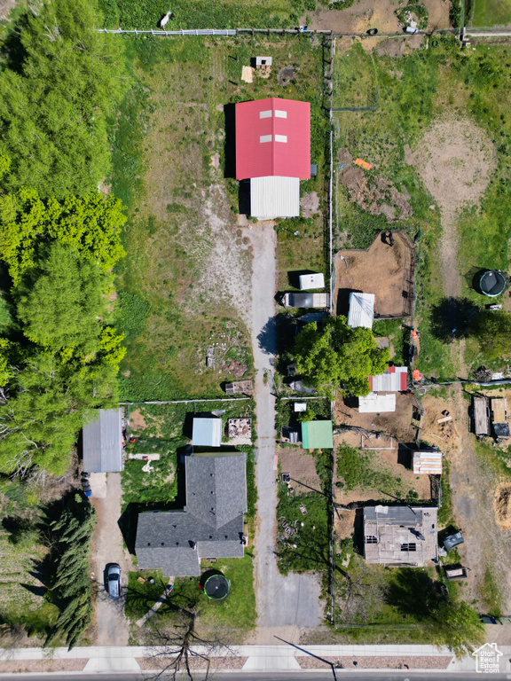 Bird\'s eye view