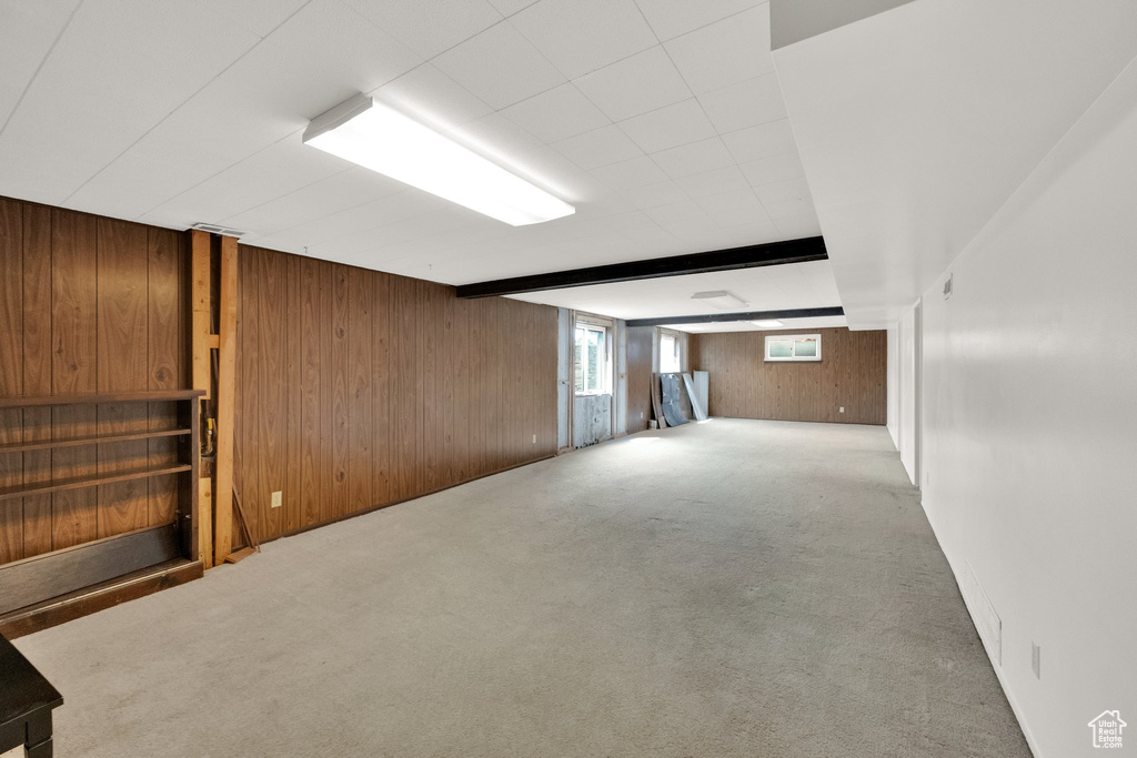 Basement with carpet floors and wooden walls