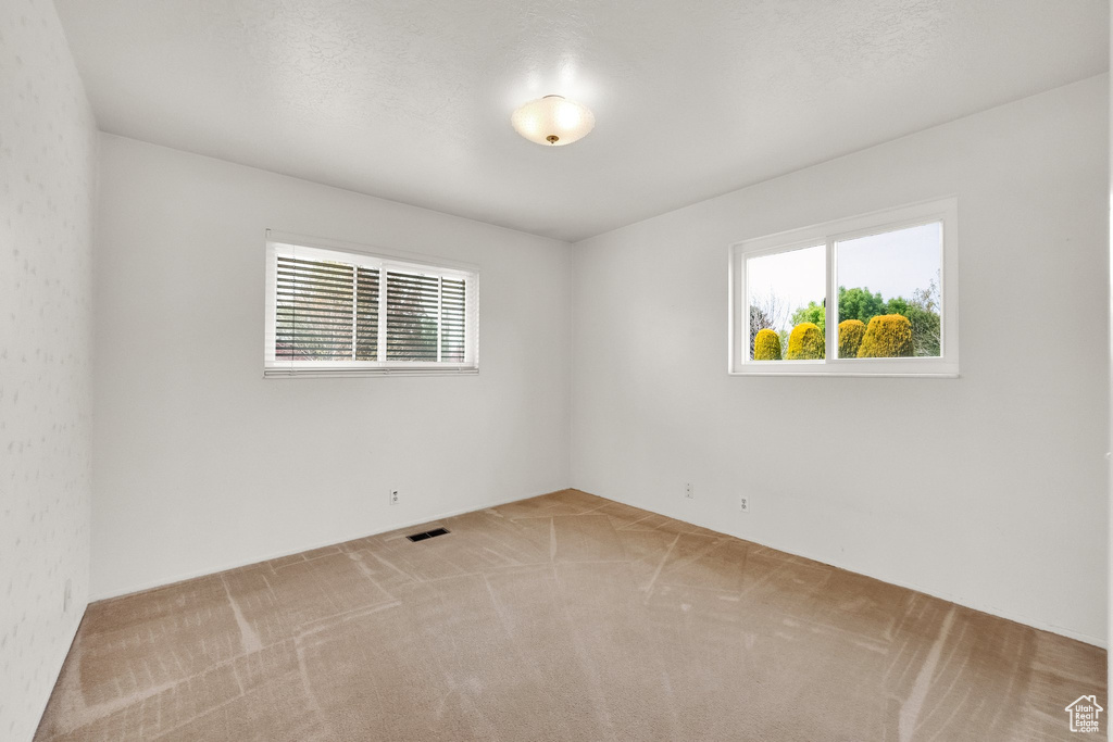 Empty room featuring plenty of natural light, carpet, and visible vents