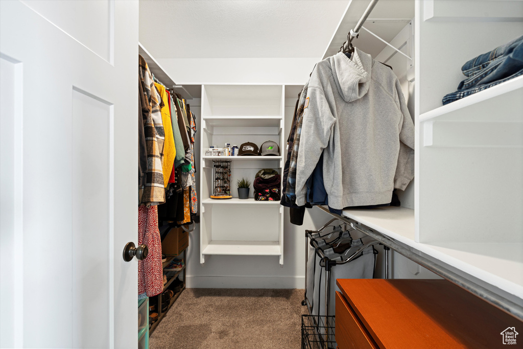 Walk in closet with carpet flooring