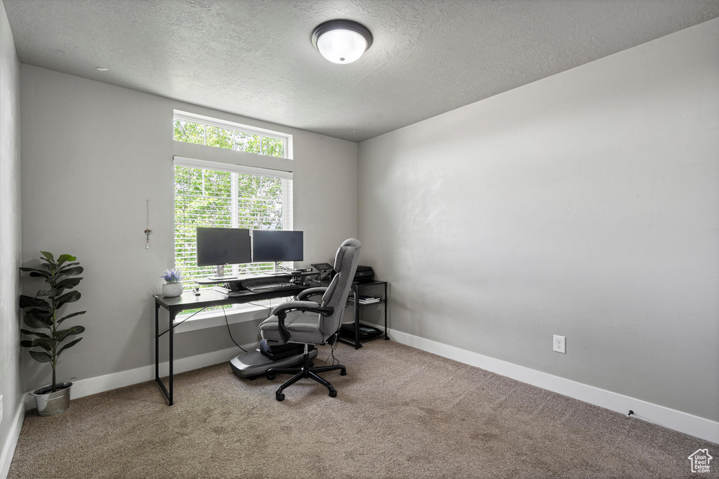 Office space with baseboards, carpet, and a textured ceiling