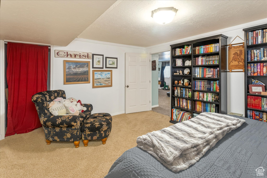 Bedroom featuring carpet floors and baseboards