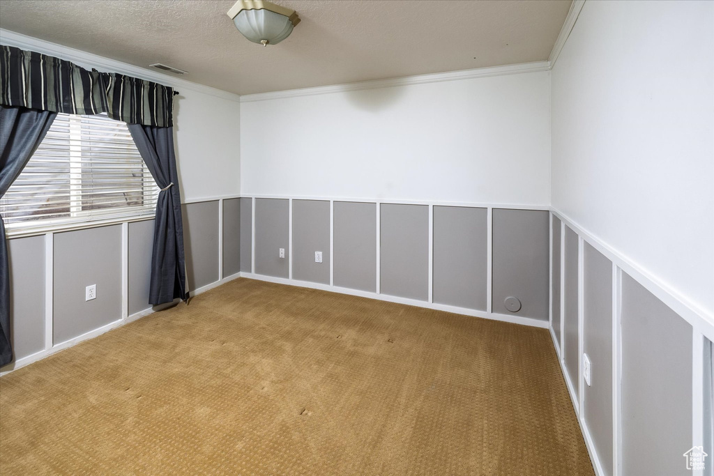 Carpeted spare room featuring visible vents and ornamental molding
