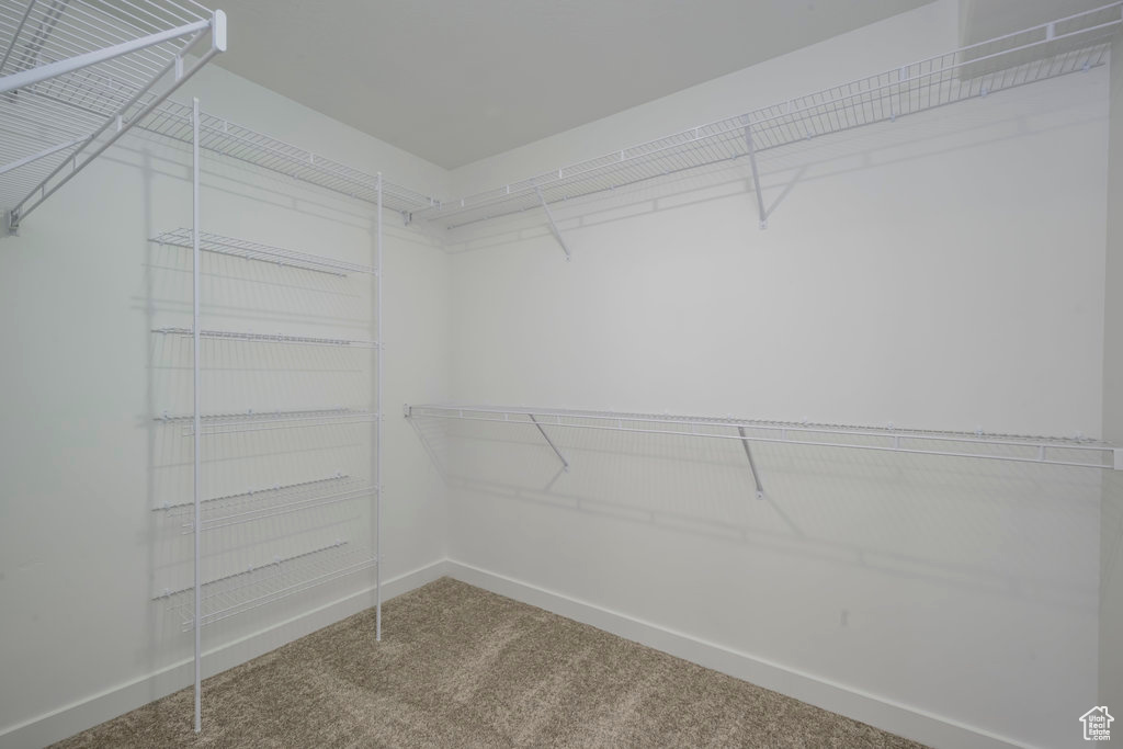 Spacious closet featuring carpet flooring