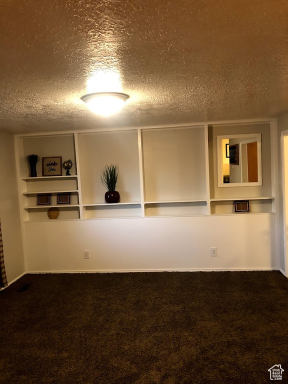 Unfurnished room featuring carpet floors and a textured ceiling