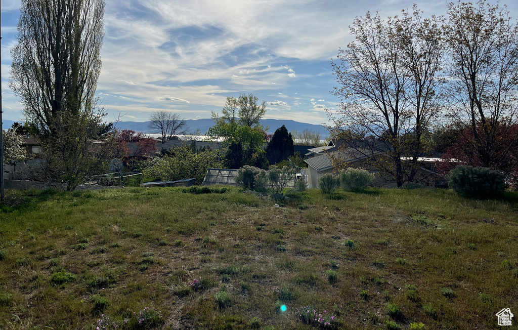 View of yard with a mountain view
