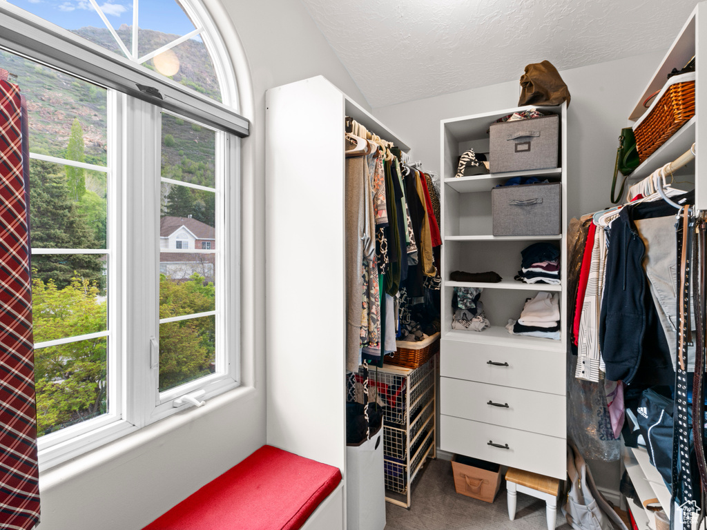 View of walk in closet