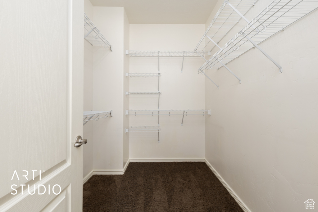 Walk in closet featuring carpet flooring