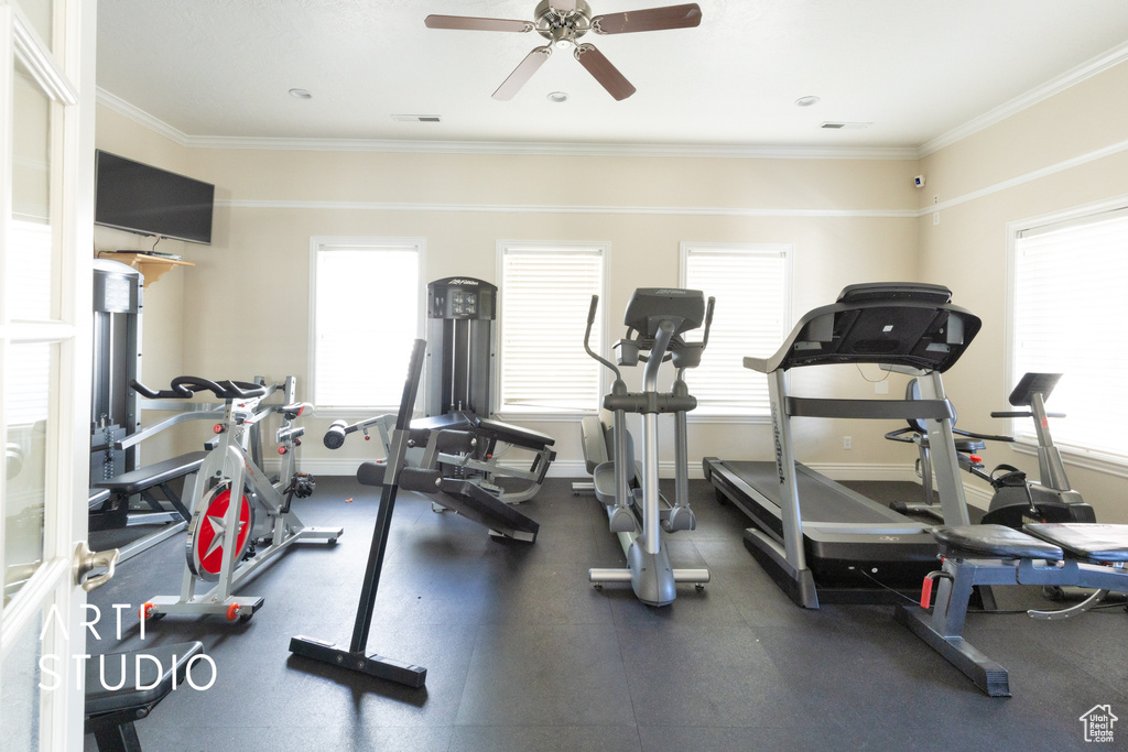 Workout area featuring crown molding, baseboards, ceiling fan, and a wealth of natural light