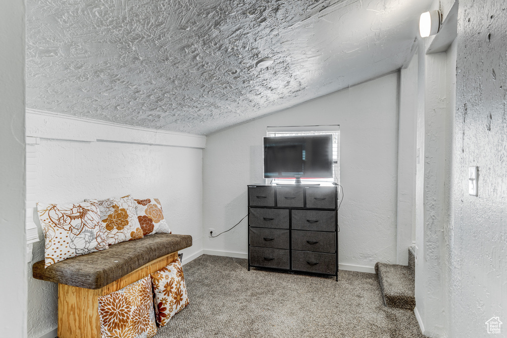 Living area with carpet floors, baseboards, vaulted ceiling, and a textured wall
