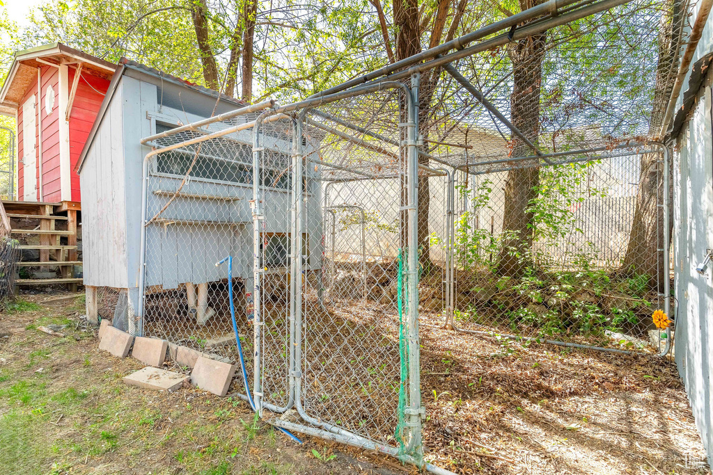 View of poultry coop