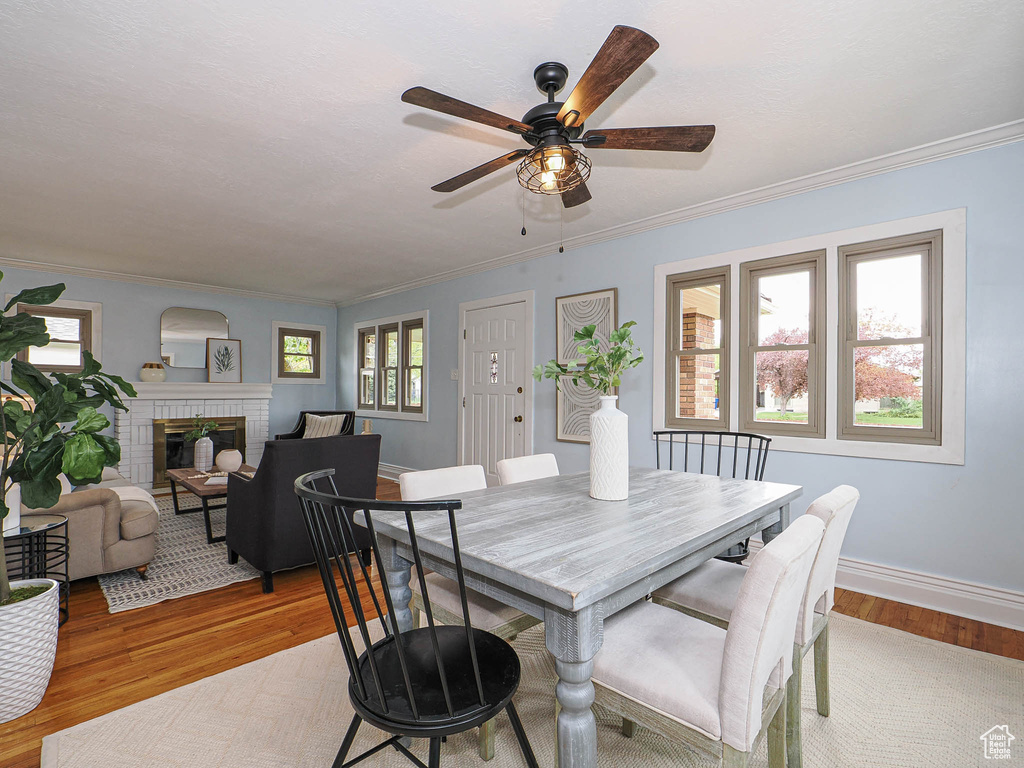 Dining area with ceiling fan, light wood finished floors, a fireplace, baseboards, and ornamental molding