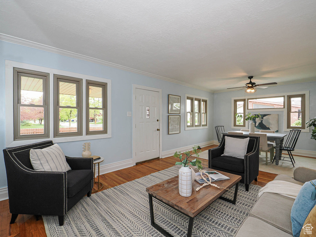 Living room featuring crown molding, baseboards, ceiling fan, and wood finished floors