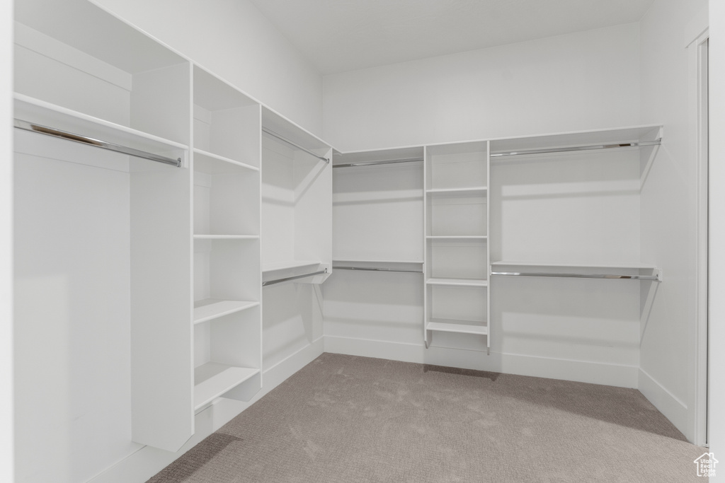 Spacious closet featuring carpet floors