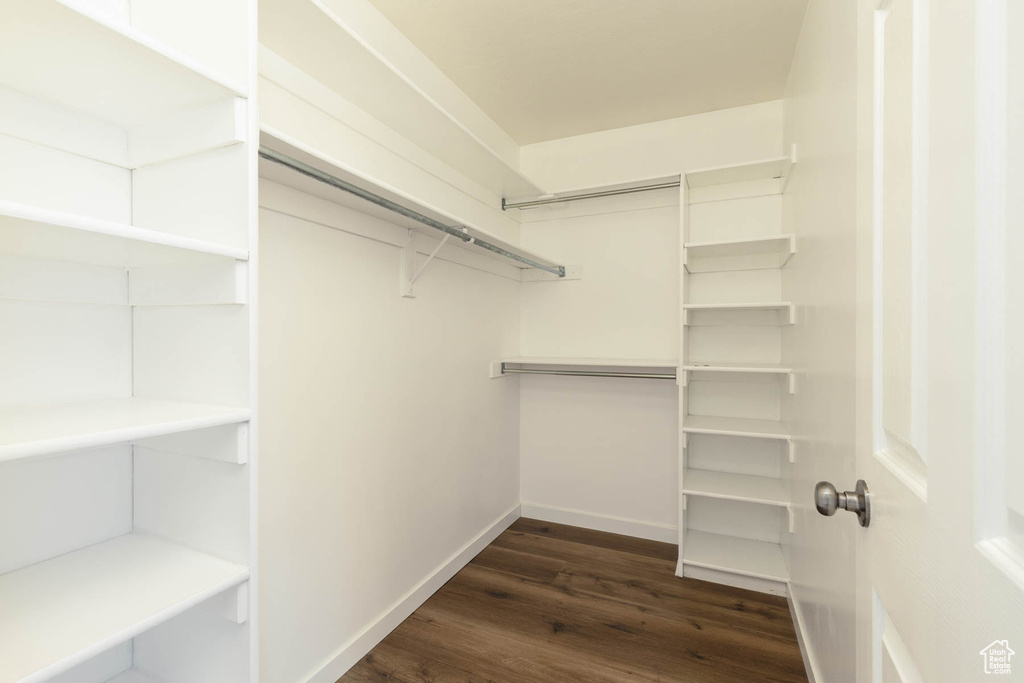 Spacious closet featuring dark wood-style flooring