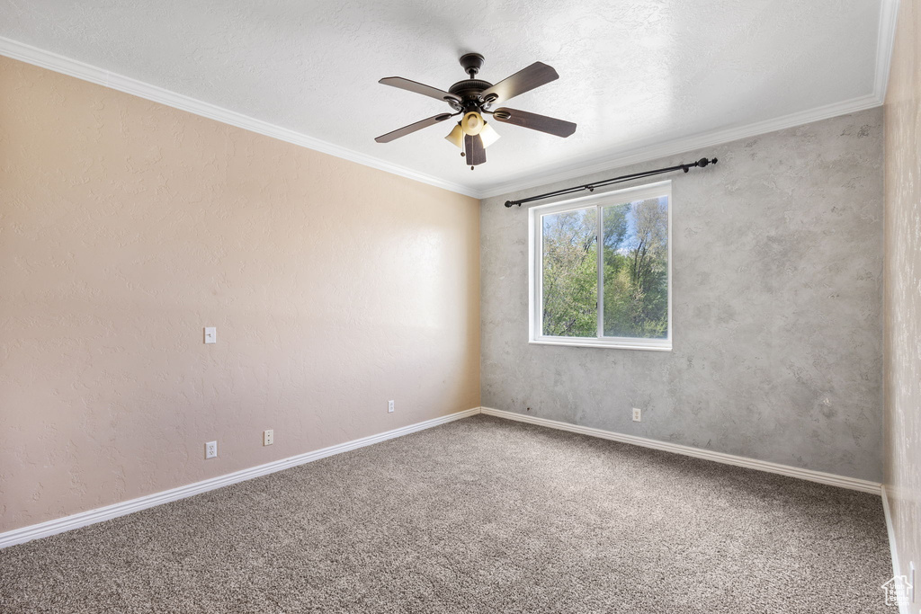 Spare room featuring baseboards, a ceiling fan, crown molding, and carpet flooring
